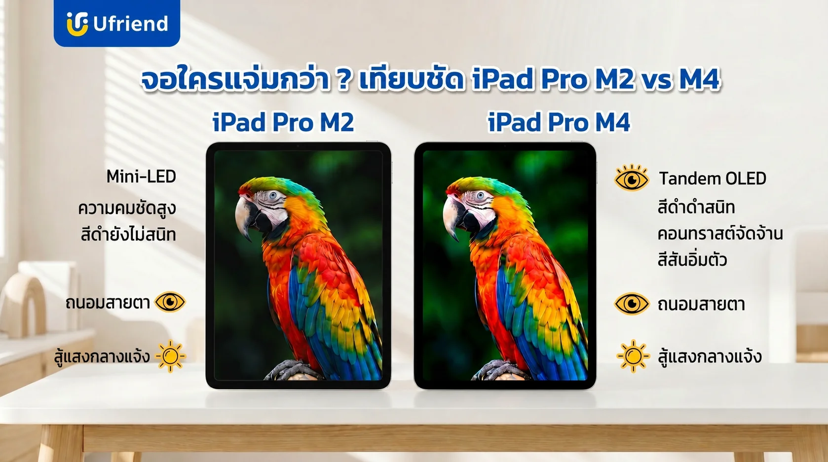 เปรียบเทียบหน้าจอไอแพดโปรเอ็มสองและเอ็มสี่ แสดงผลนกแก้วบนหน้าจอมินิแอลอีดีกับหน้าจอโอแอลอีดีแบบสองชั้น